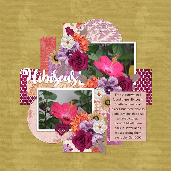 Hibiscus