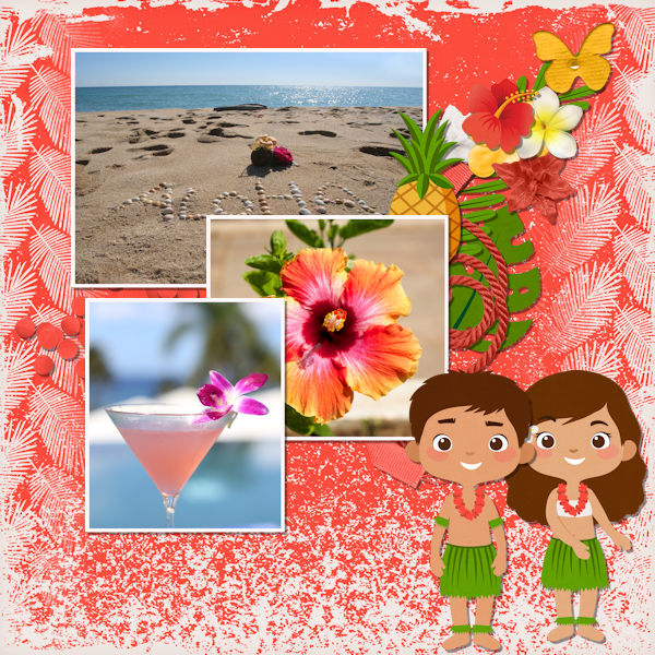 Hibiscus