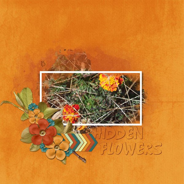 Hidden Flowers