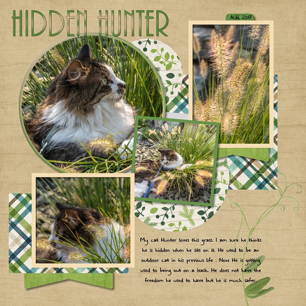 Hidden Hunter