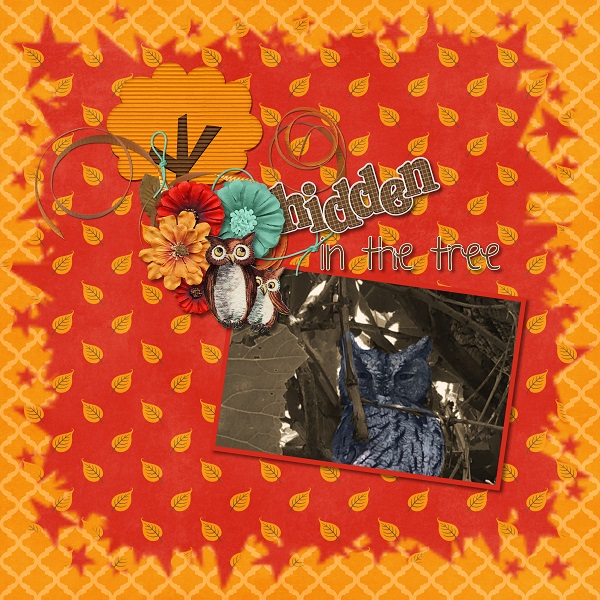 Hidden
