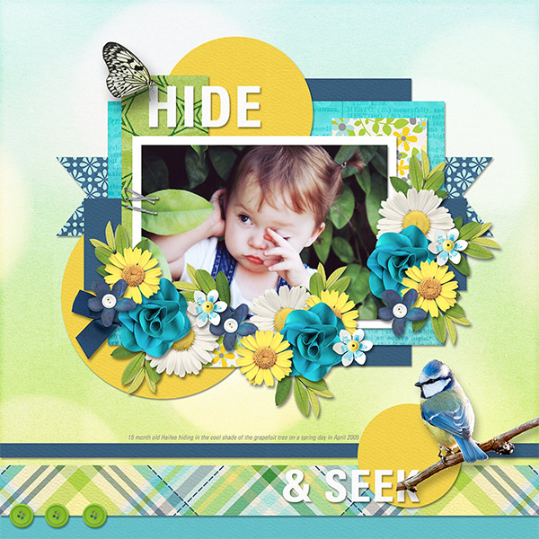 HIDE + SEEK