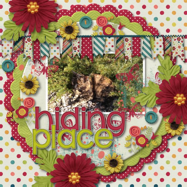 Hiding Place