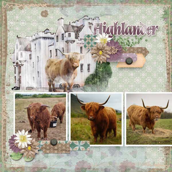 highlander-aimee-harrison-j