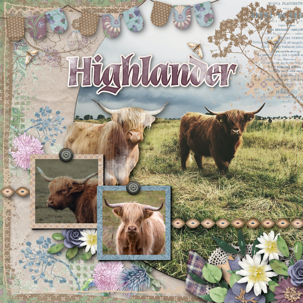 Highlander
