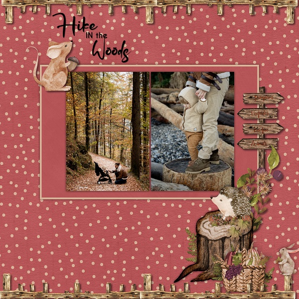 Hike in the woods