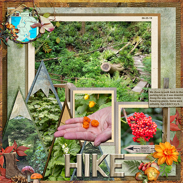 Hike