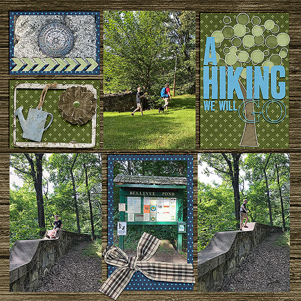 Hiking Bellevue 2018
