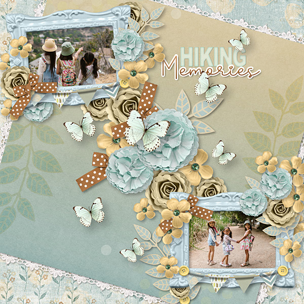Hiking Memories