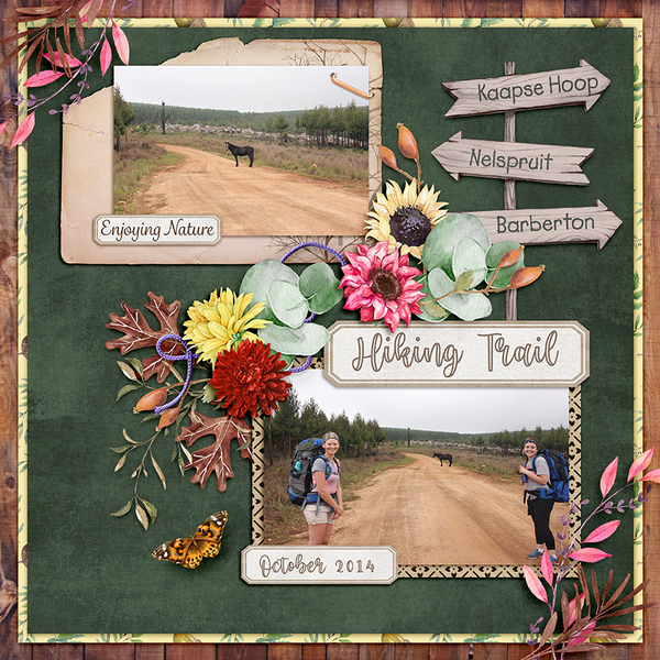 Hiking trail Kaapse Hoop
