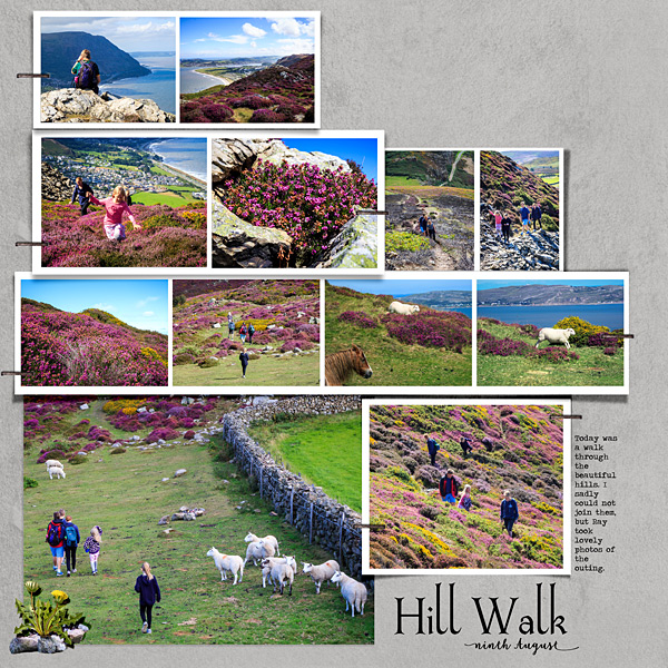 Hill Walk LHS