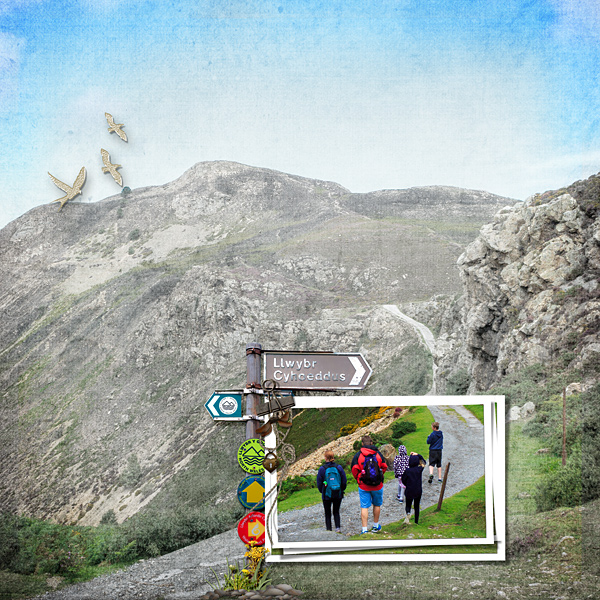 Hill Walk RHS