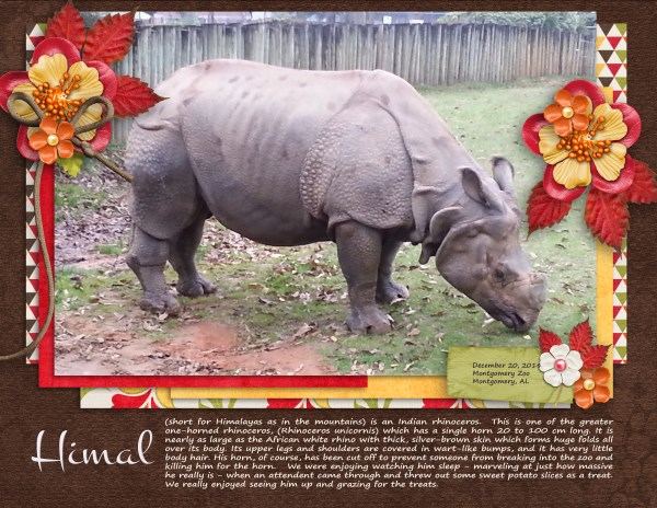 Himal the Rhinoceros