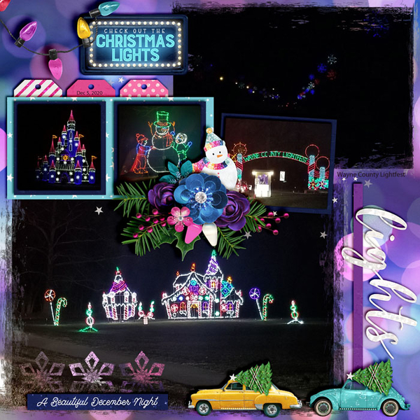 Hines Drive Lightfest