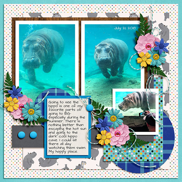 Hippo 2