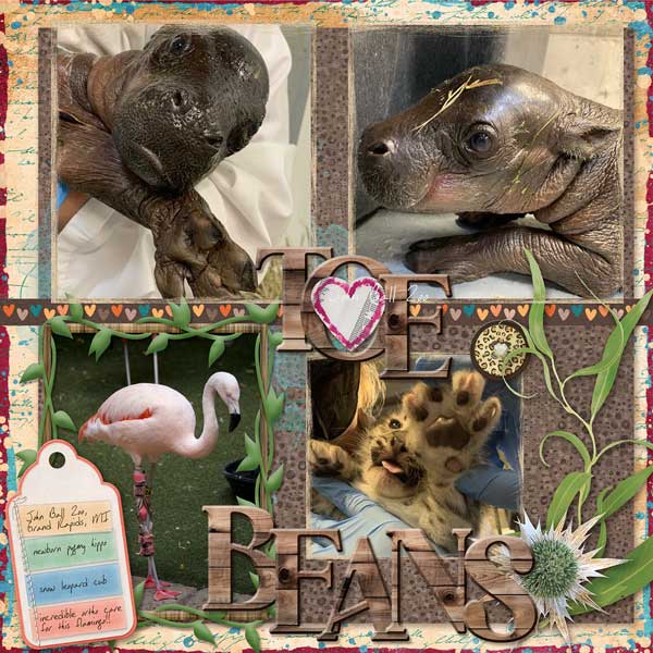 hippo-toe-beans-webv.jpg