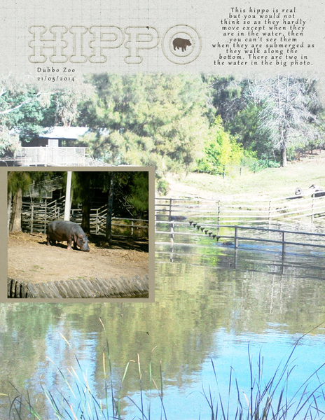 Hippo