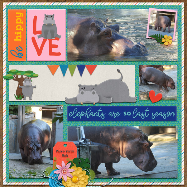 hippos