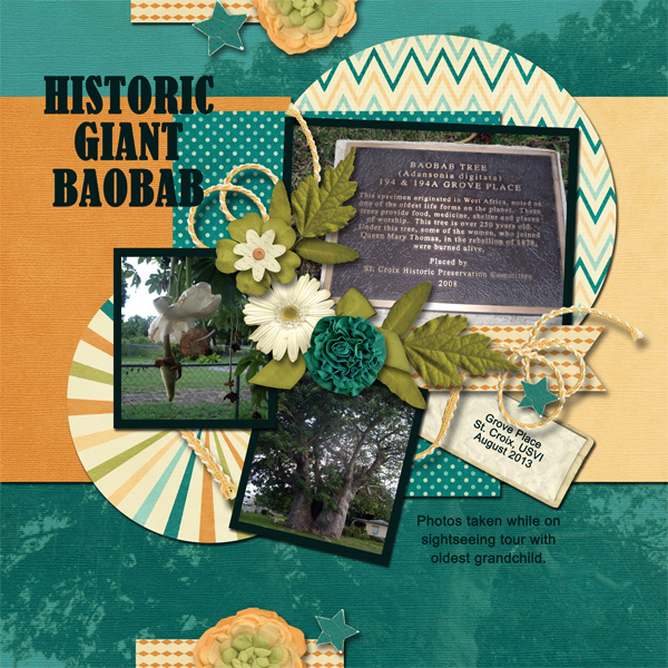 Historic Giant Baobab