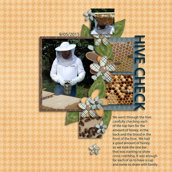 Hive Check