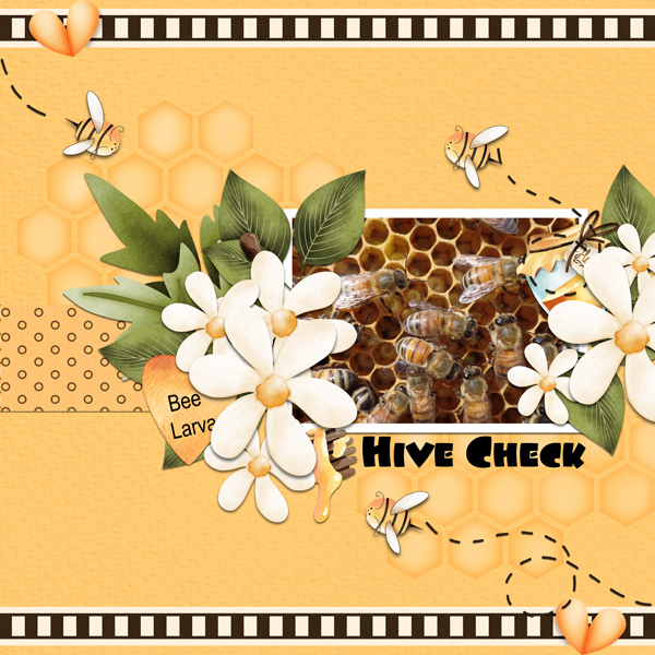 Hive Check