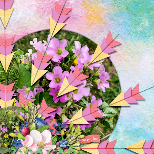 HMS_AllSeasonsSpring_tcot_stchsnstrbrsts