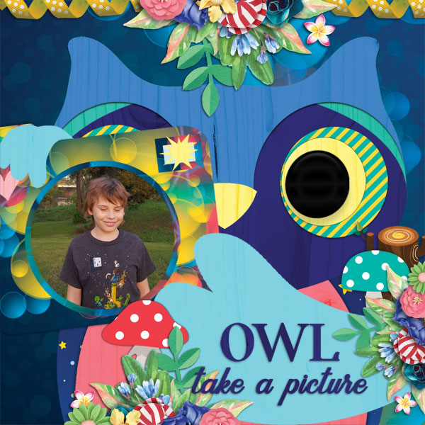 HMS_Summer-Camp-tcot_Owl-Be-There
