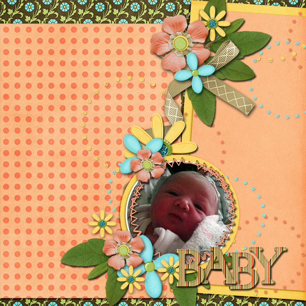 HN Baby 1211