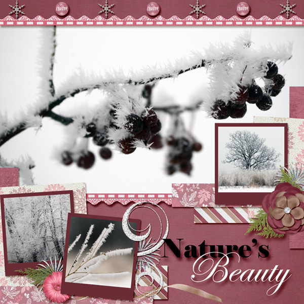 Hoar Frost