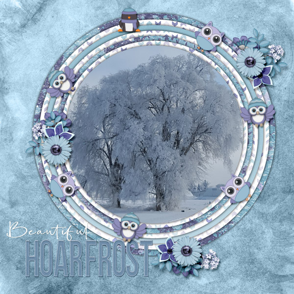 Hoarfrost_small