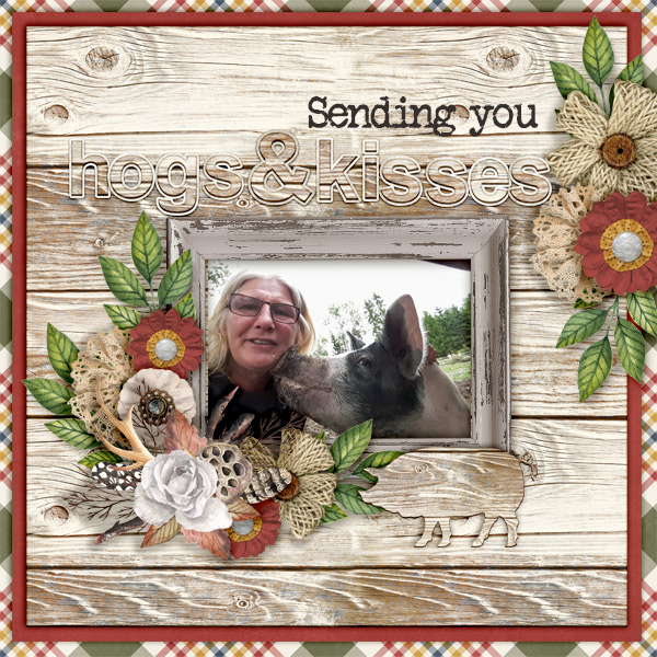 Hogs-and-kisses