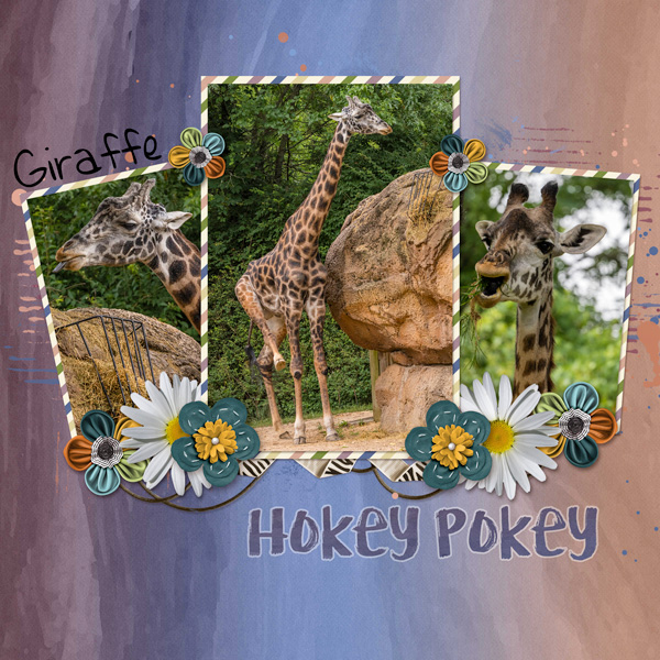 Hokey Pokey