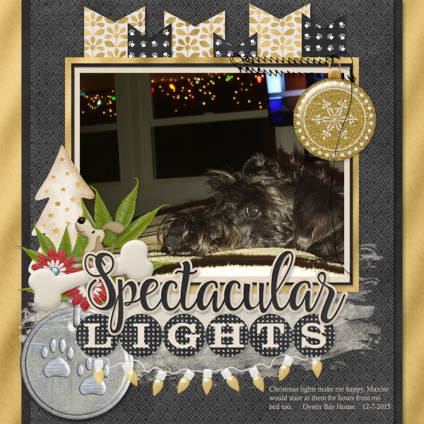 Holiday Dazzle Pampered Pets