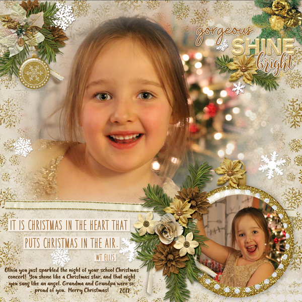 Holiday Dazzle