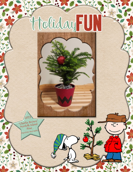 Holiday Fun