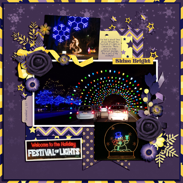 Holiday Lights