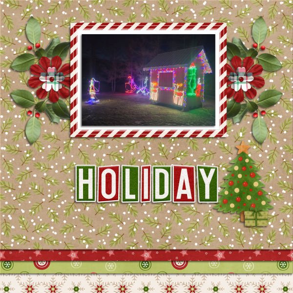 holiday lights