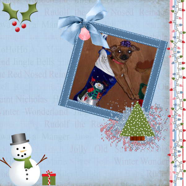 Holiday Sparkle 1