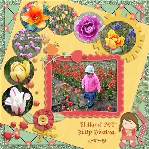Holland Tulip