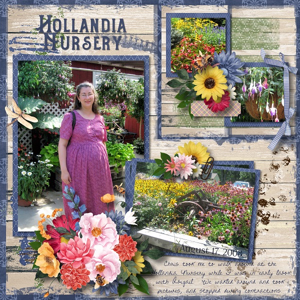 Hollandia Nursery