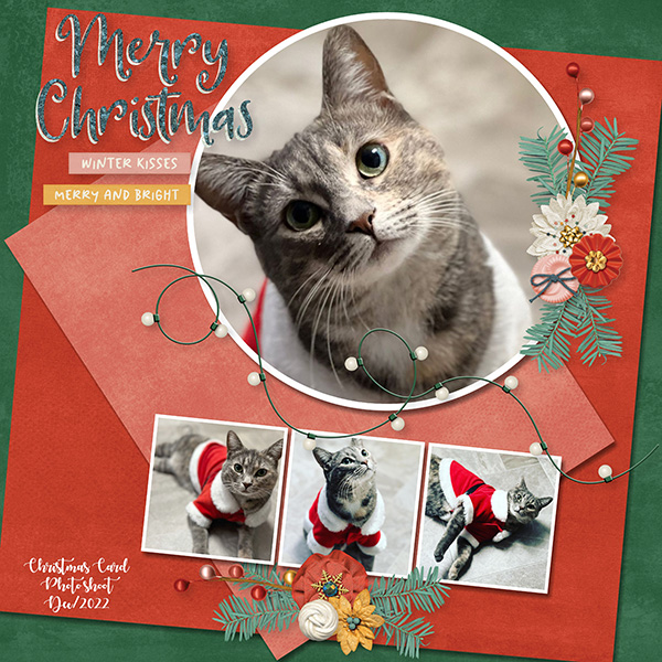 Holly Jolly 1