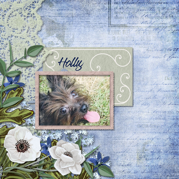 Holly