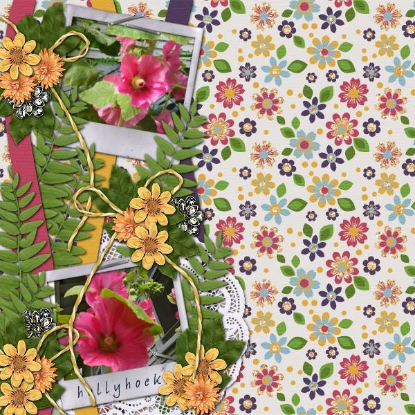Hollyhocks