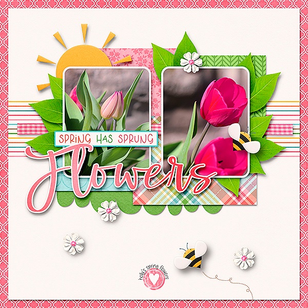 Hollys Flowers