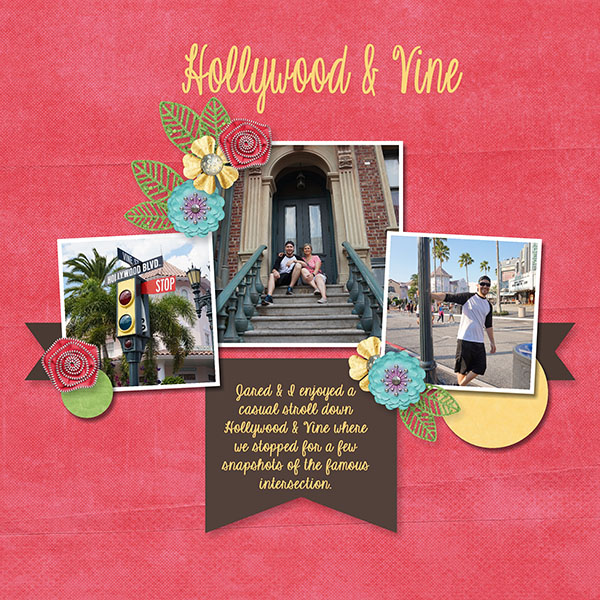 Hollywood + Vine
