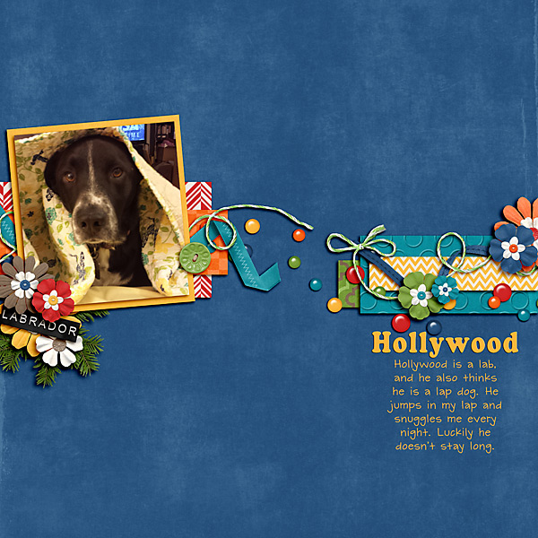 Hollywood