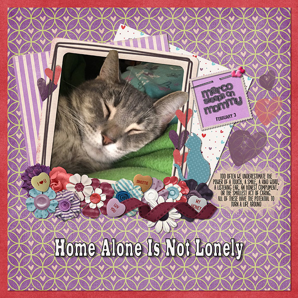 Home Alone Is Not Lonely