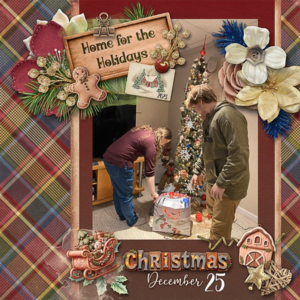 Home for the Holidays in 2023