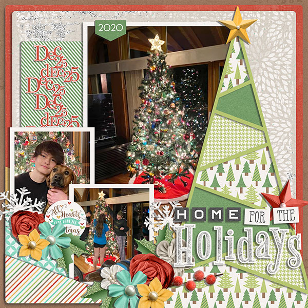 home for the holidays