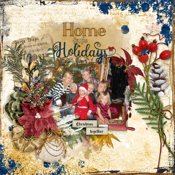 Home-for-the-holidays3